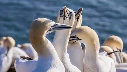 开云体育在线入口-【新星崛起】年轻运动员的训练方法与成功秘诀，那些刻苦训练的年轻运动员